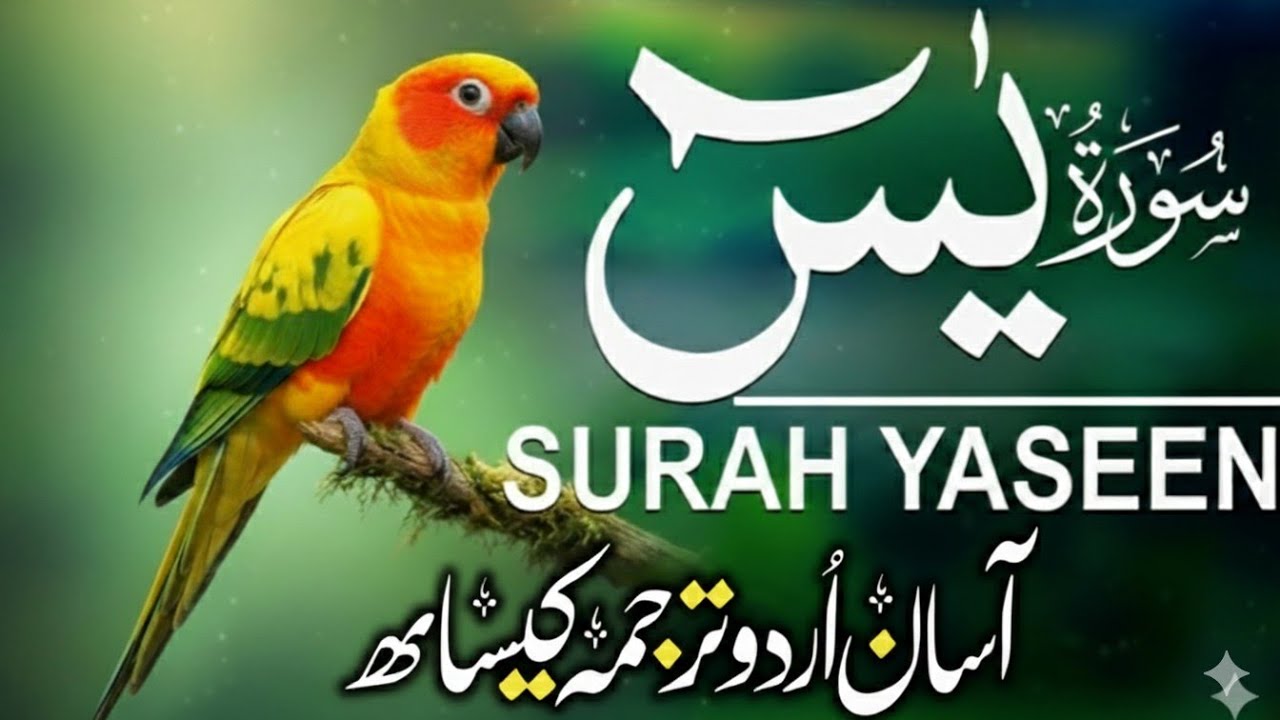Surah Yaseen With Urdu Translation By Qari Mansoor Ghaznawi I Urdu And Hindi Tarjuma Noor Ut Tilawah