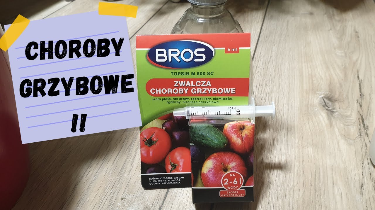 Choroby grzybowe
