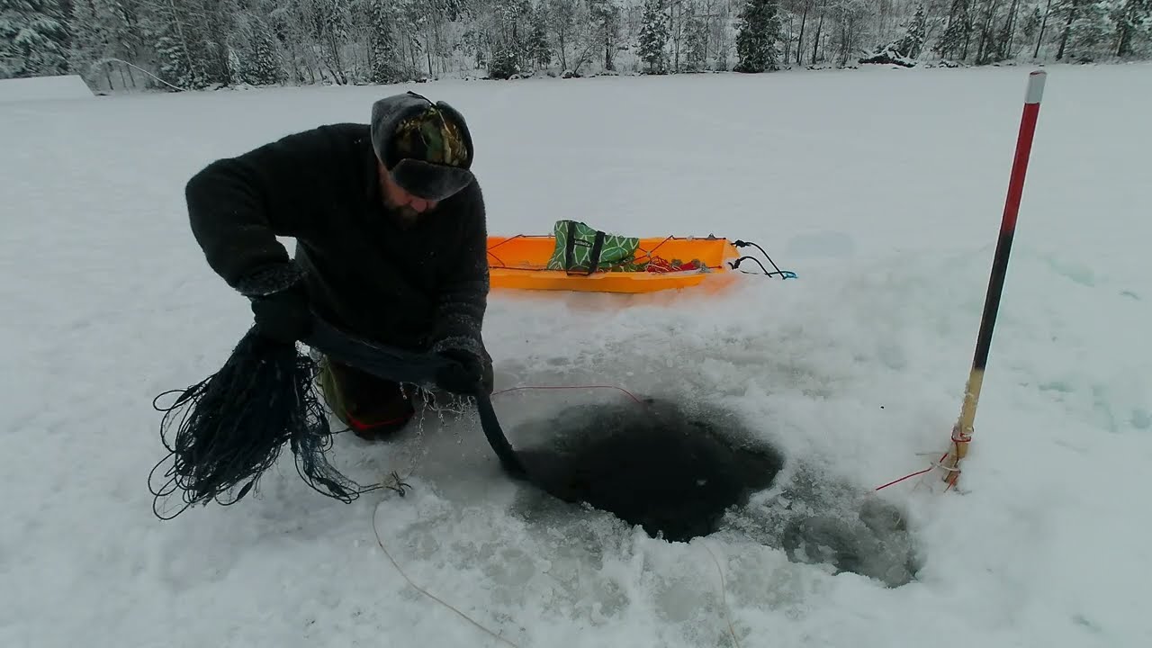 Talviverkoilla, taas jysähti