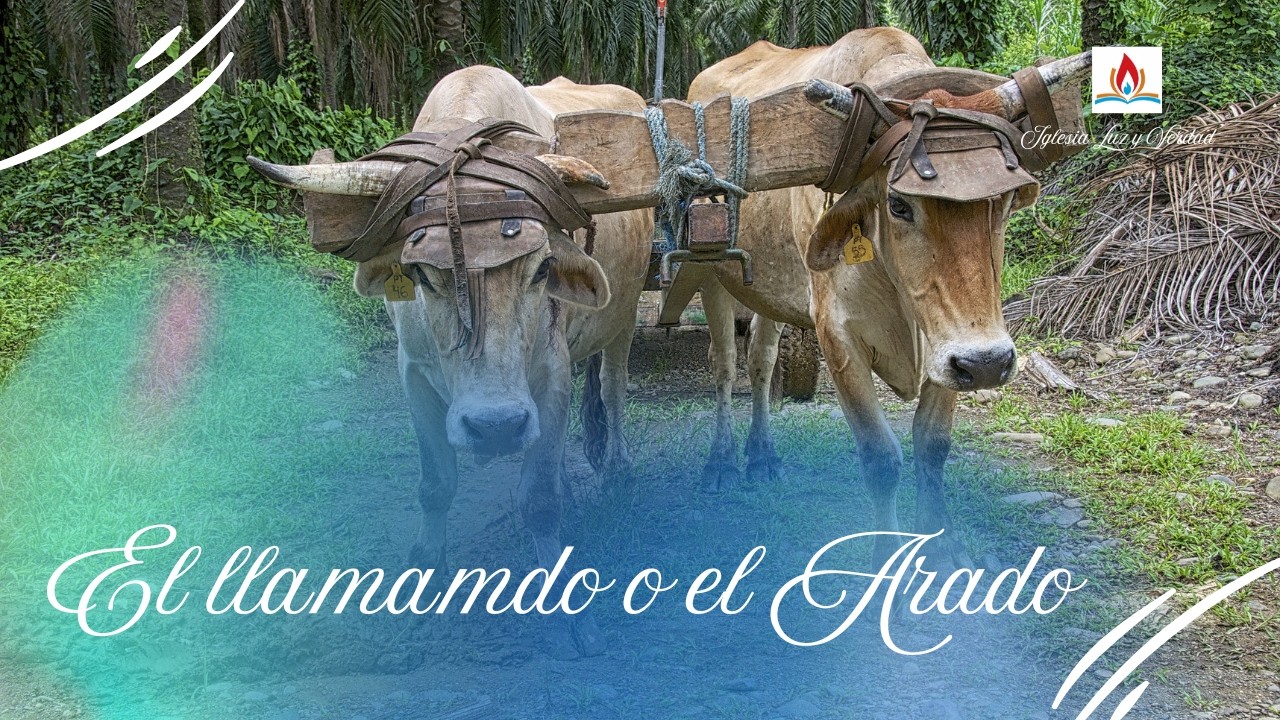 El Llamado o El Arado