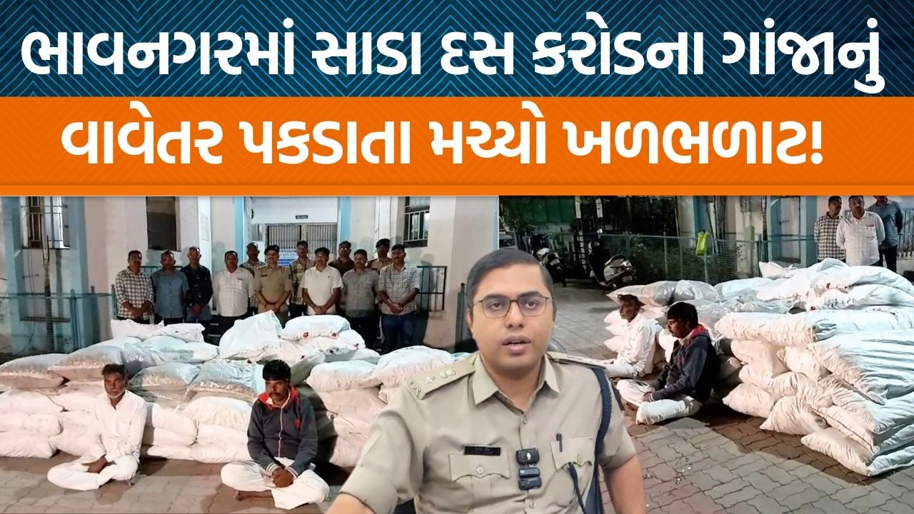 Bhavanagarમાં ખુબ મોટાપાયે ગાંજા અને અફીણનું વાવેતર મળી આવતા SP Nitesh Pandeyએ શું કહ્યું?