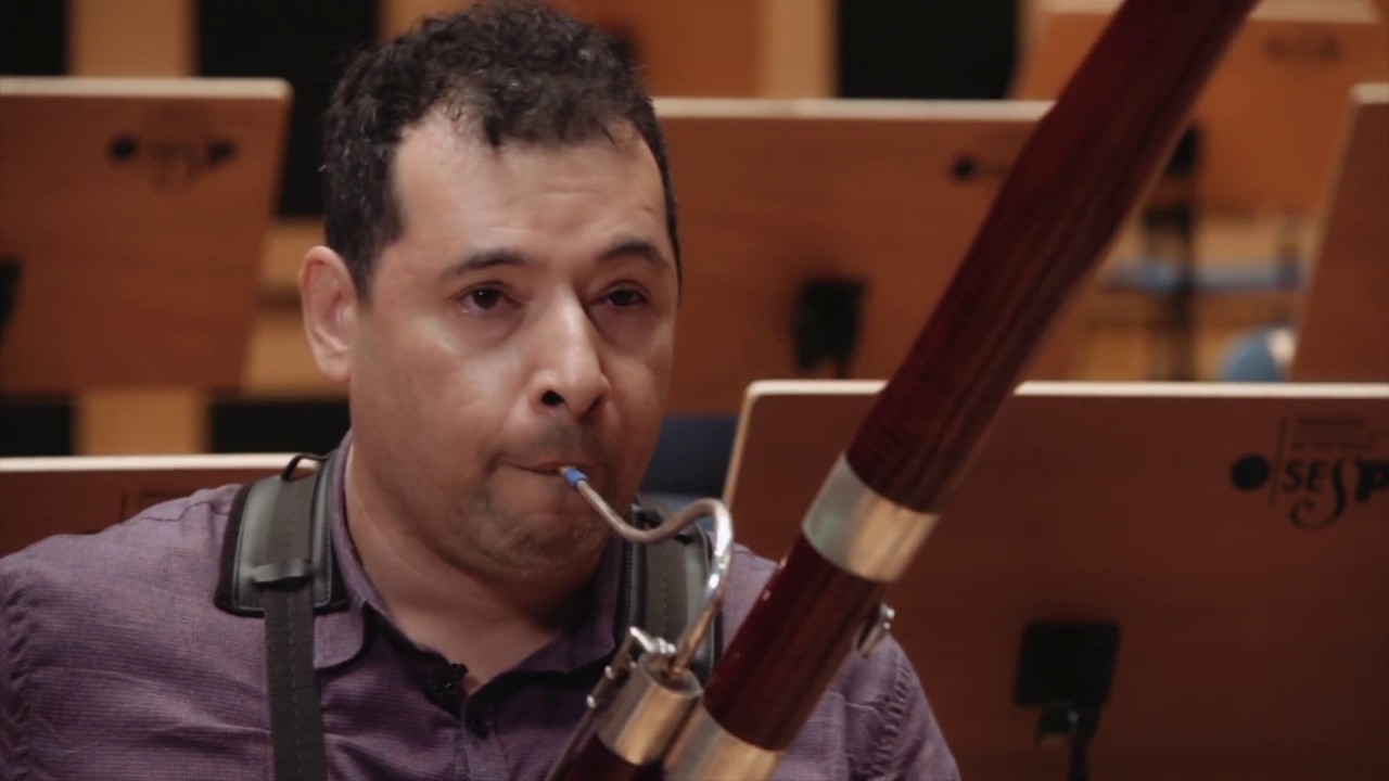 Instrumentos de Orquestra - Fagote |  Alexandre Silvério