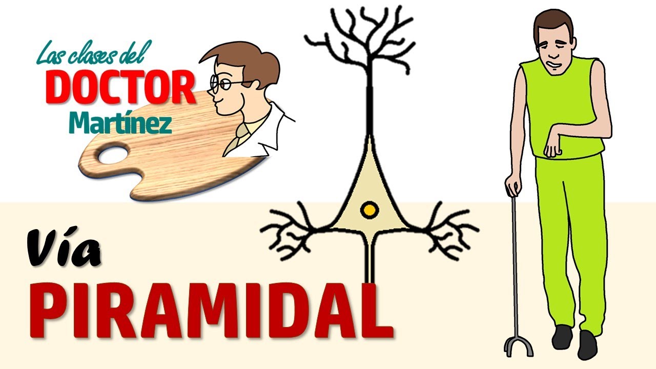Vía piramidal