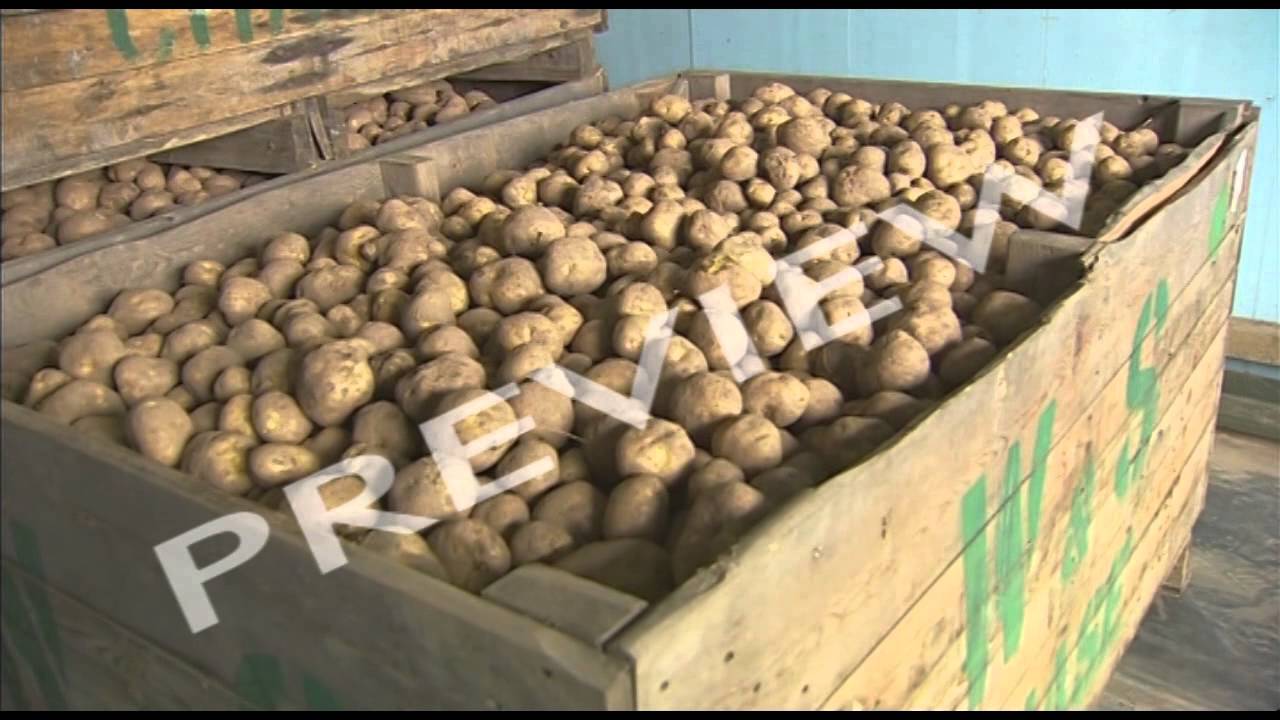 Inside A Factory 3: The Crisp Makers