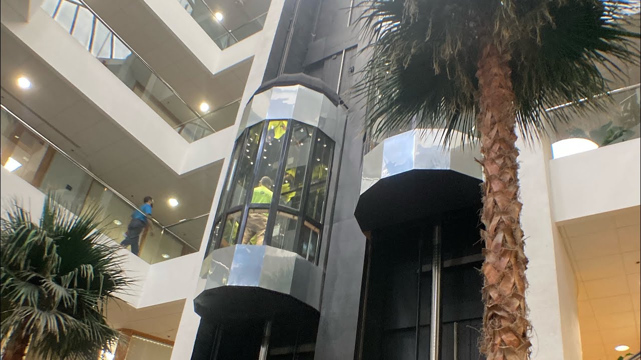 Amazing 1982 Montgomery A Series Hydraulic Scenic Chewbacca Elevators In Boca Raton FL