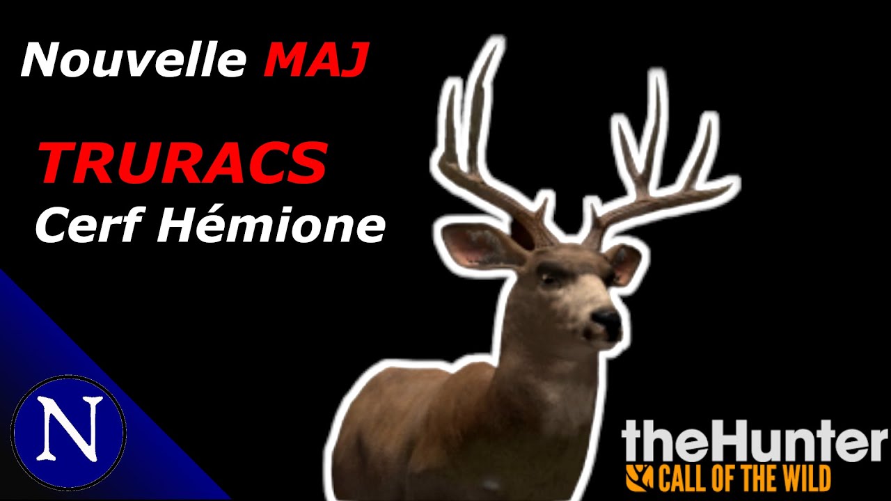 The Hunter COTW : Je découvre le Truracs des Cerfs Hémiones !