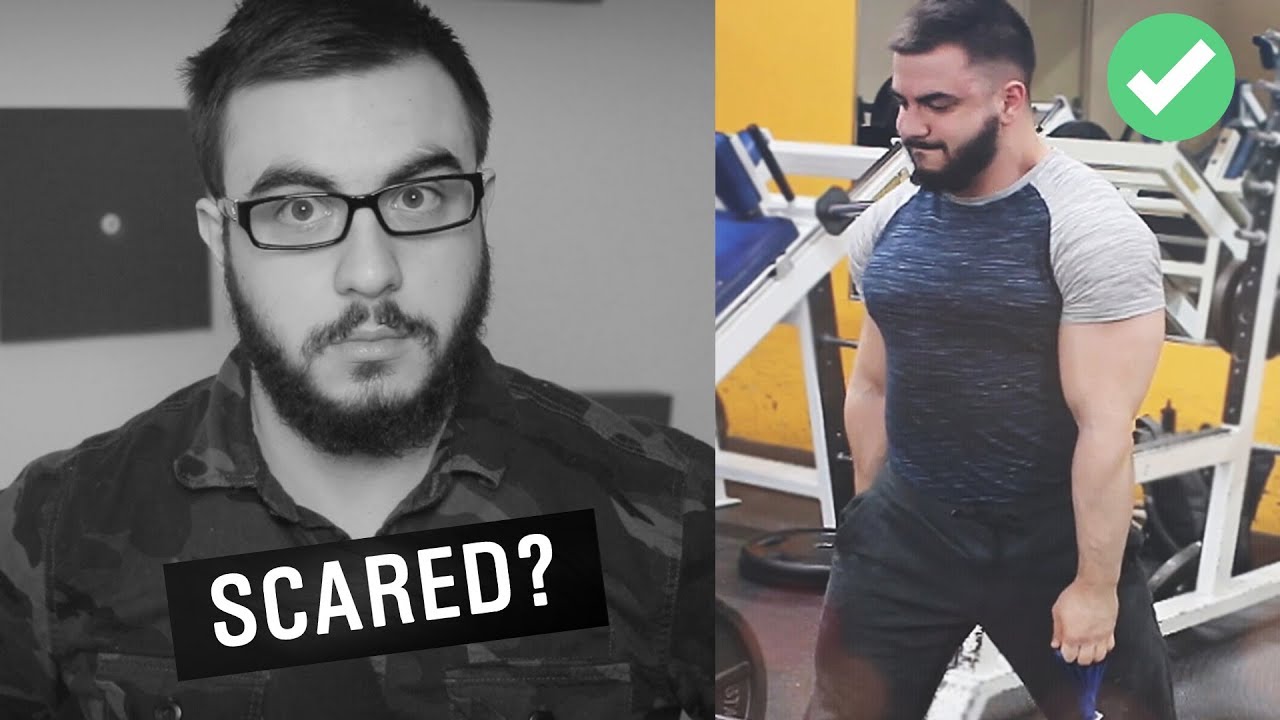 Scared to Bulk?