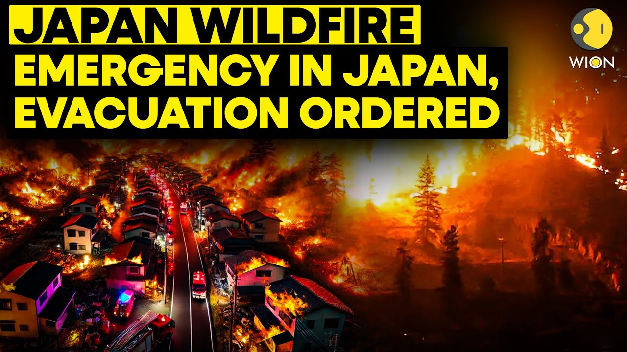 Japan Wildfire LIVE: Emergency In Japan, Evacuation Ordered I Japan's Biggest Wildfire | WION LIVE