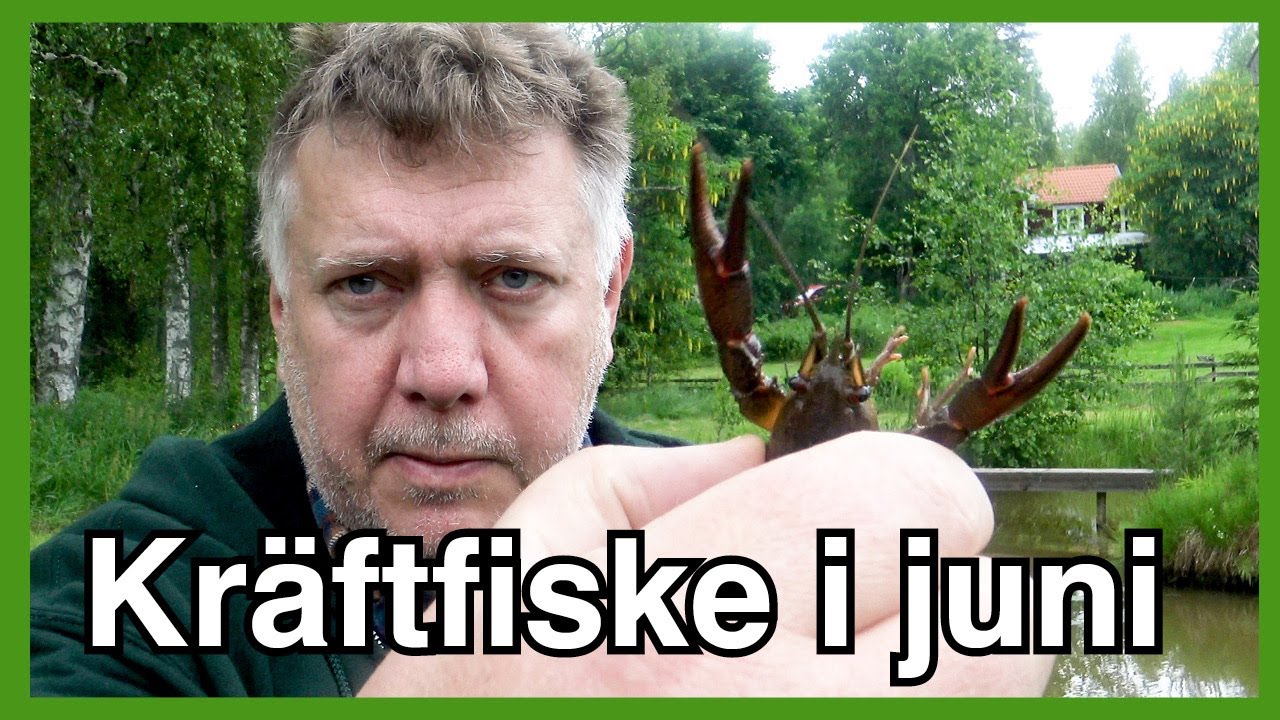 Överraskande djurmöte vid dammen