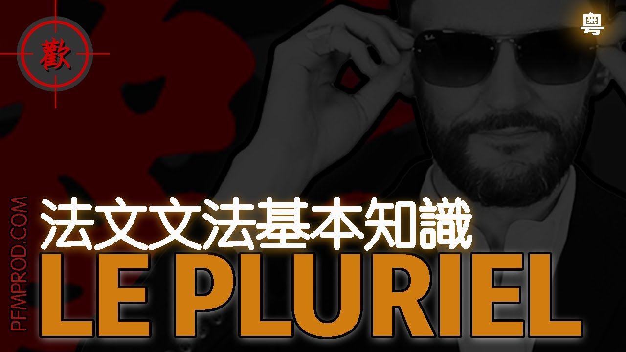[廣東話學法文] LE PLURIEL - 法文文法基本知識溫習 - PFMPROD.COM