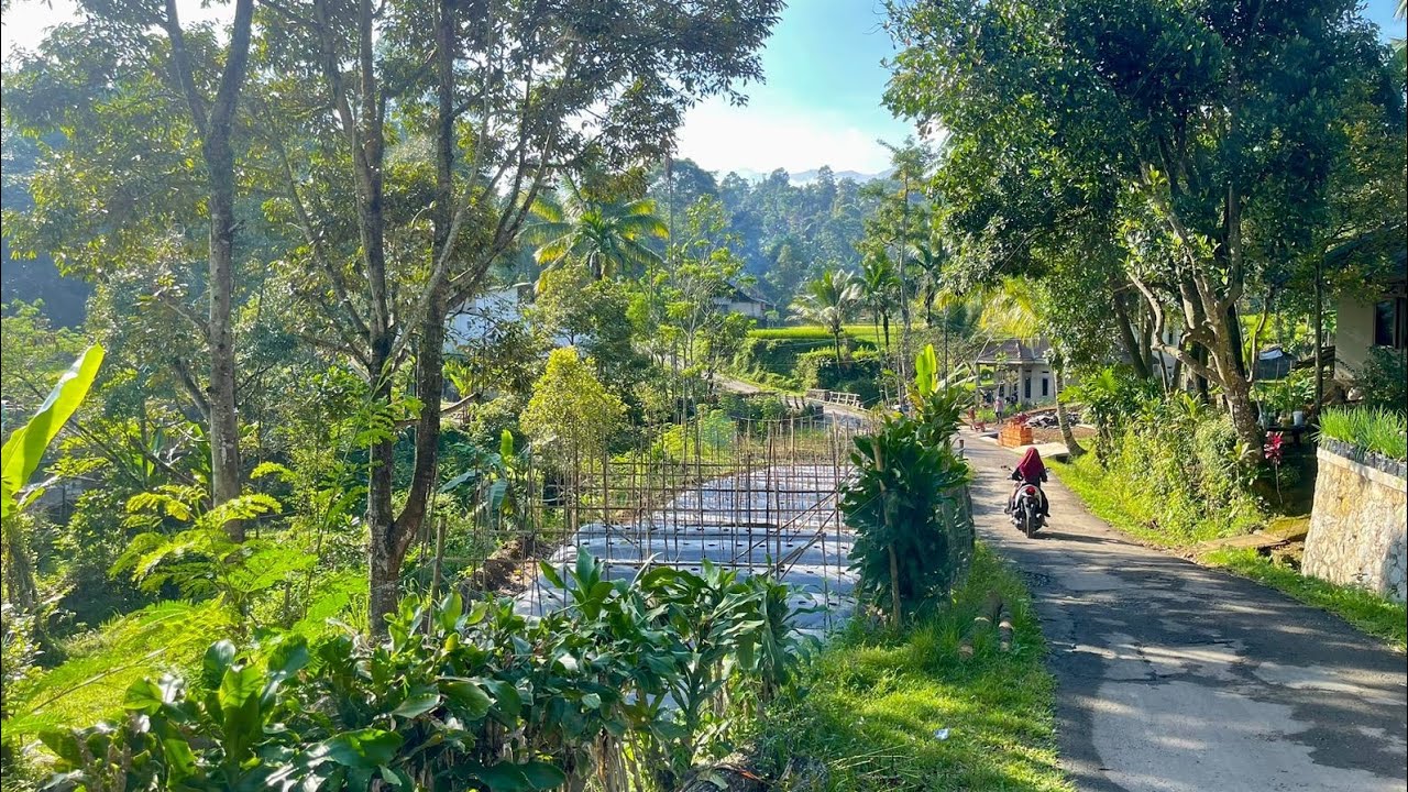 Review Tanah dan Kolam Ikan Pinggir Sungai Luas 728 m2  | Sudah Terjual