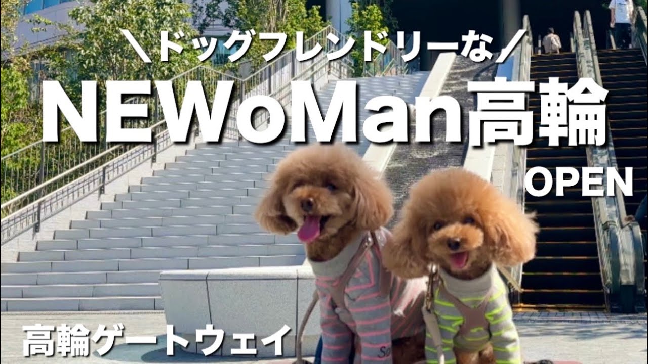 NEWoMan高輪オープン！ワンちゃんと楽しめるお店がいっぱい
