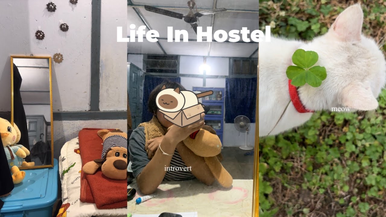 Introvert vlog🙇: how I live in my hostel 🪟🏚️