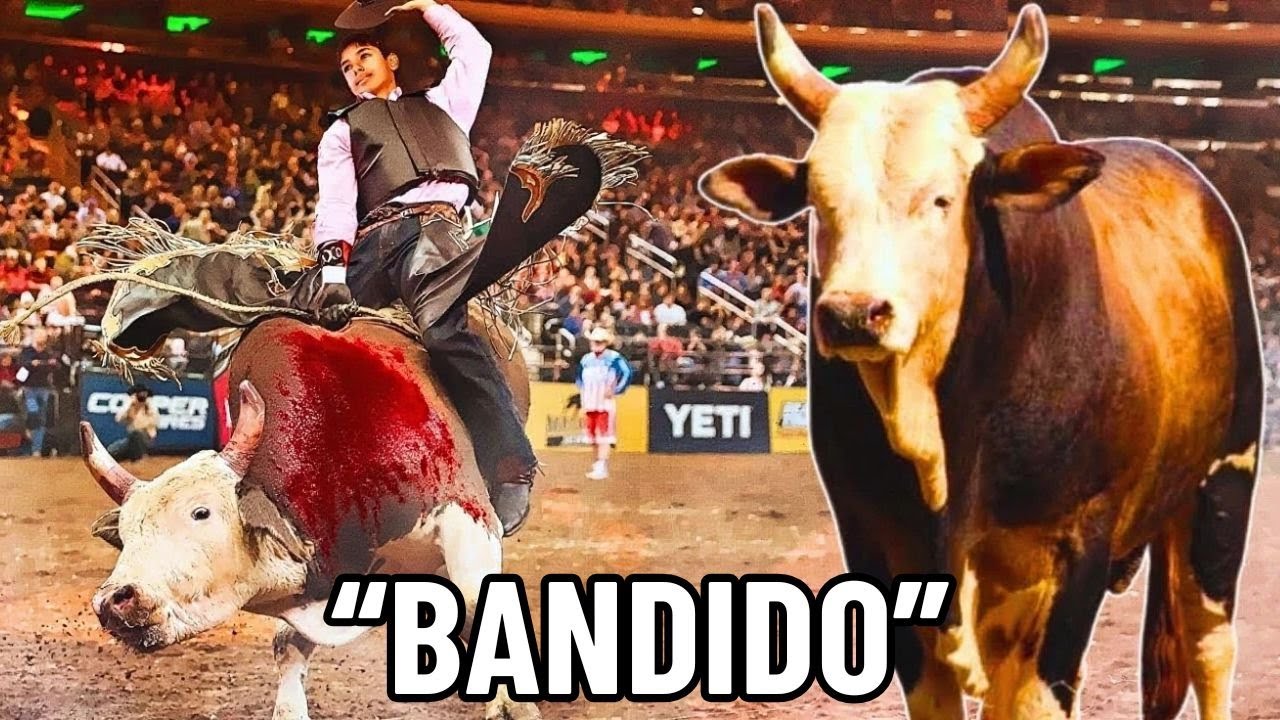 Toro 