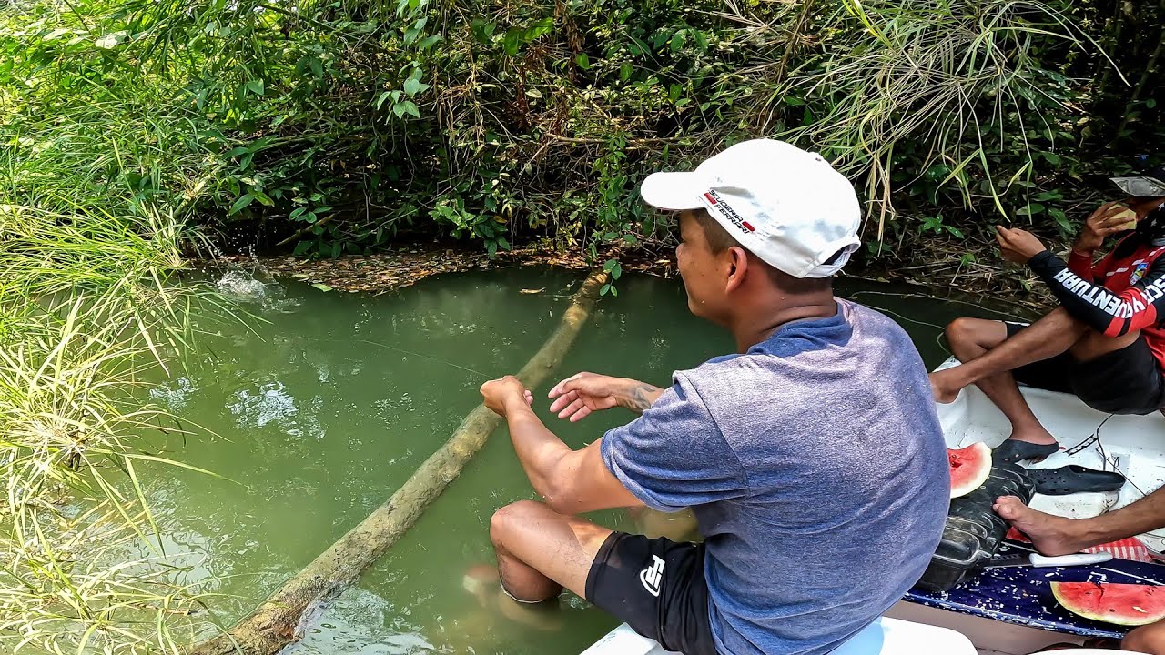 Pescando y Cocinando Guapotes