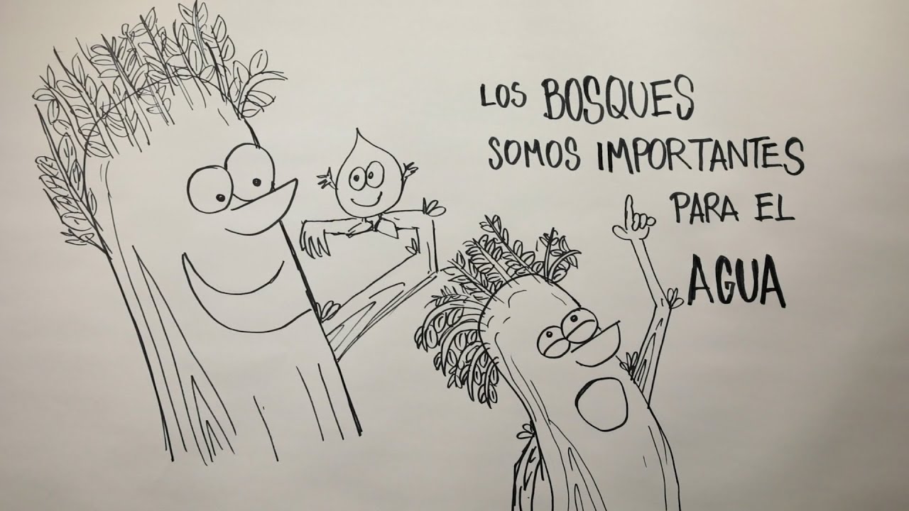 Bosque y agua para niños