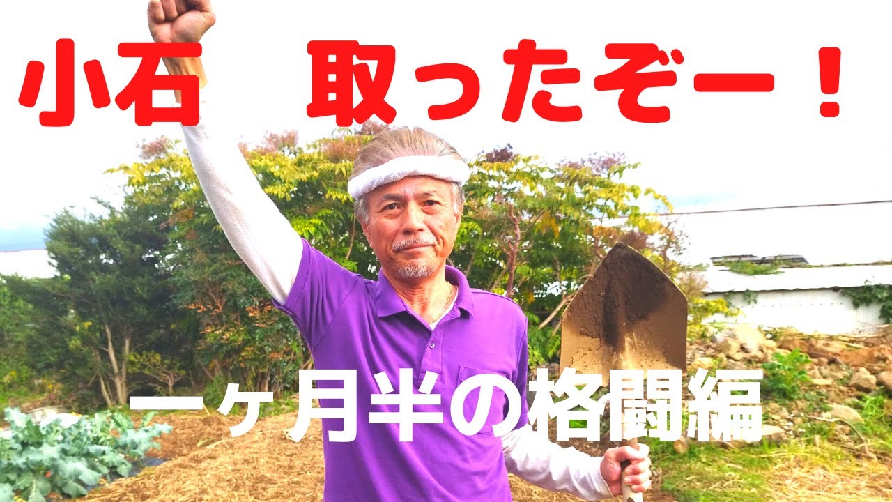 畑開拓完了間近です！小石取り切ったぞー！