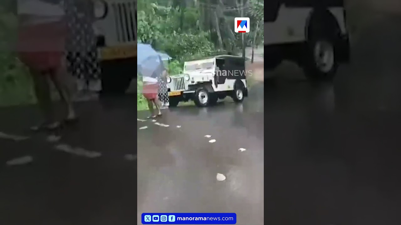 Heavy Rain in Kasaragod: Karyangode and Tejaswini Rivers Overflow #kasargod #rain
