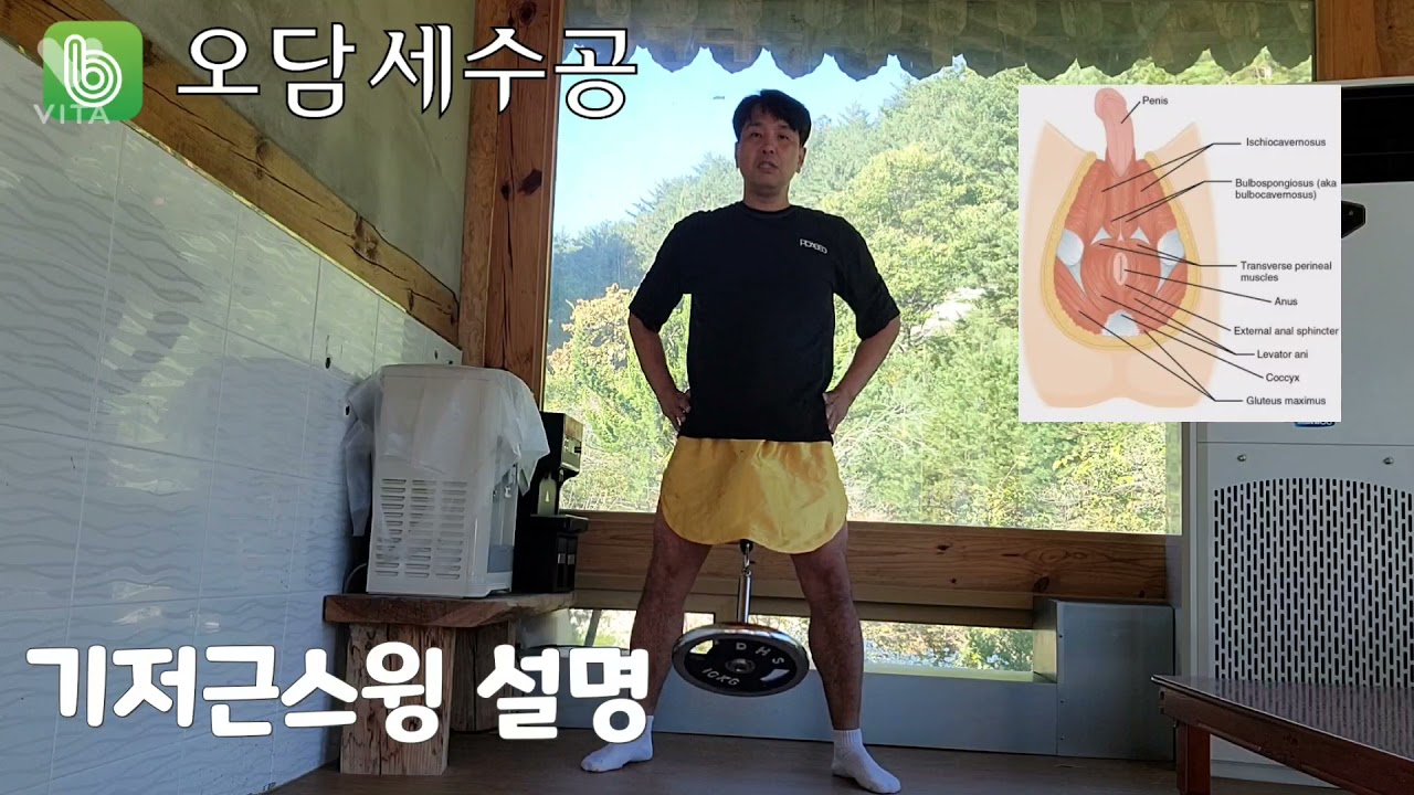 수련의 꽃 기저근스윙설명(중급)