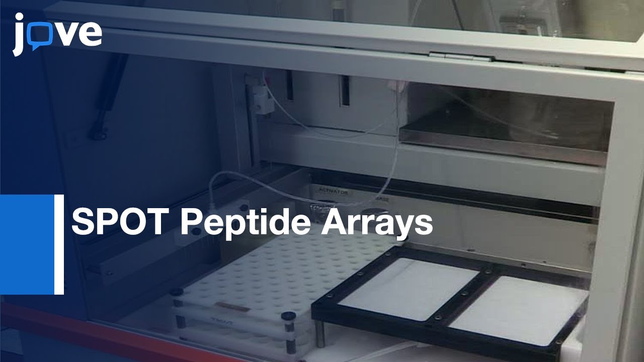 Specificity Analysis-Protein Lysine Methyltransferases Using SPOT Peptide Arrays l Protocol Preview