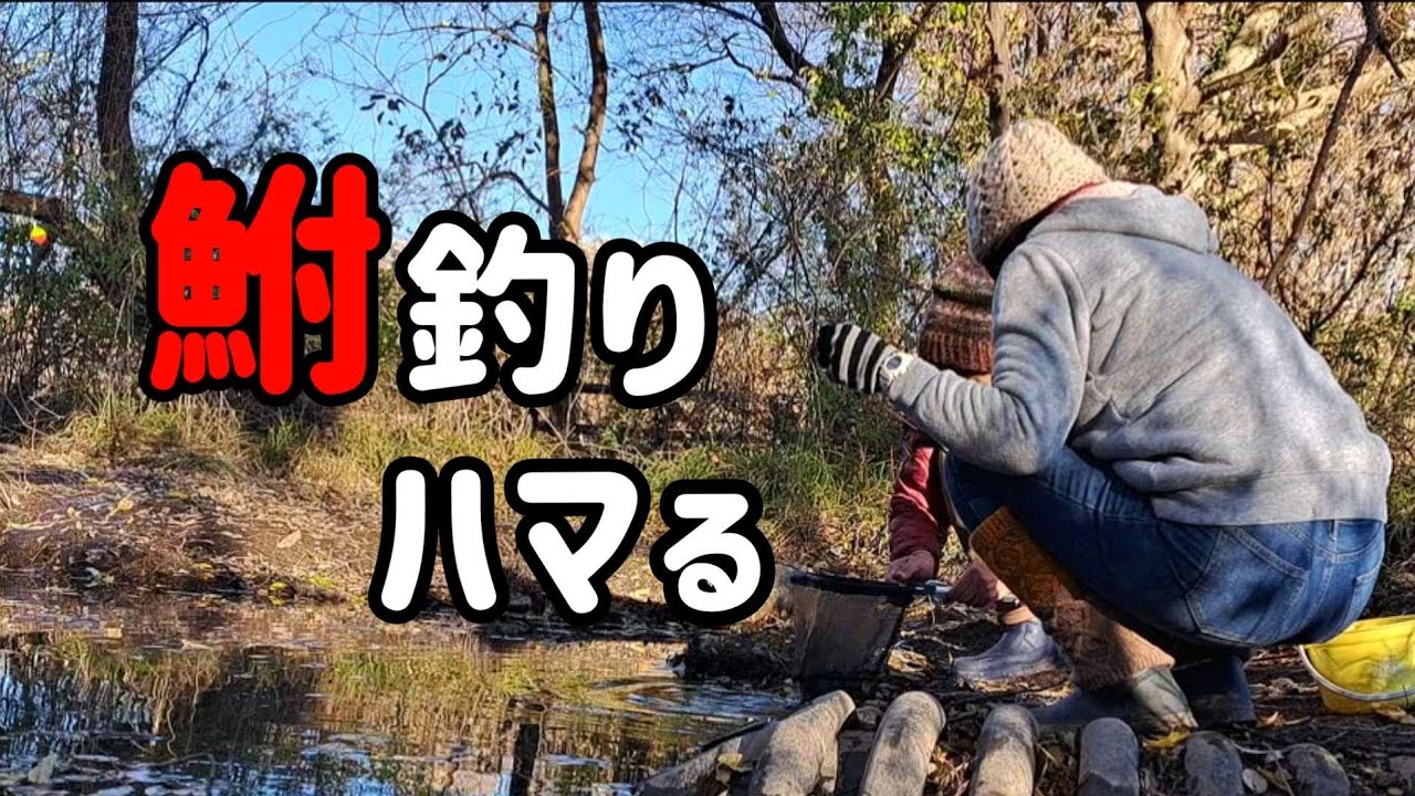 やっぱ面白い鮒釣り。タナゴ、真冬でも高活性！
