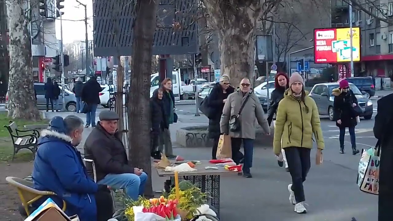 Cvijićeva i Bulevar despota Stefana