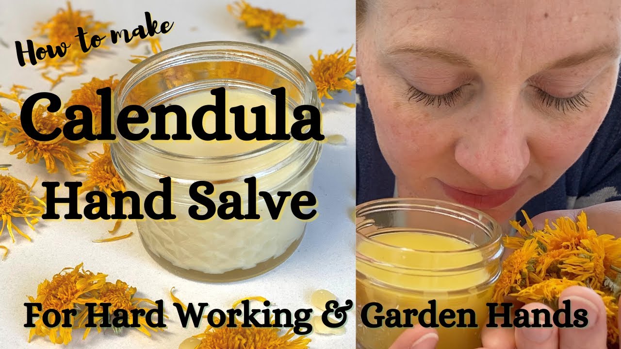 DIY Calendula Hand Salve - Perfect for Hard Working & Garden Hands