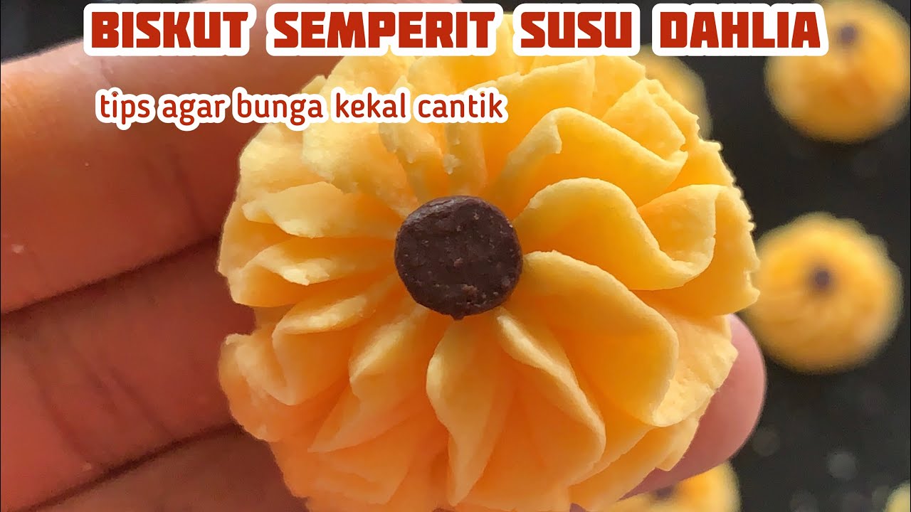 Cara membuat biskut semperit susu @ dahlia susu | tips supaya bunga kekal cantik