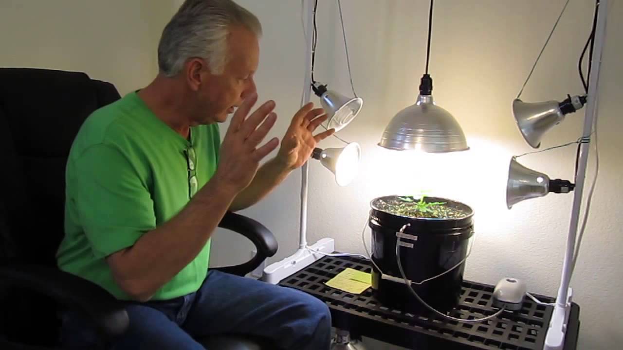 How to set-up a CFL Compact Floresent Lighting rig for growing in hydroponics or soil.