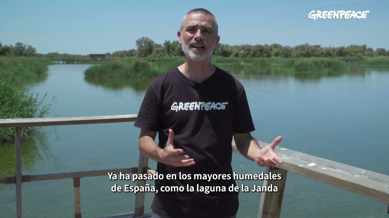 Las Tablas de Daimiel, al borde de la muerte