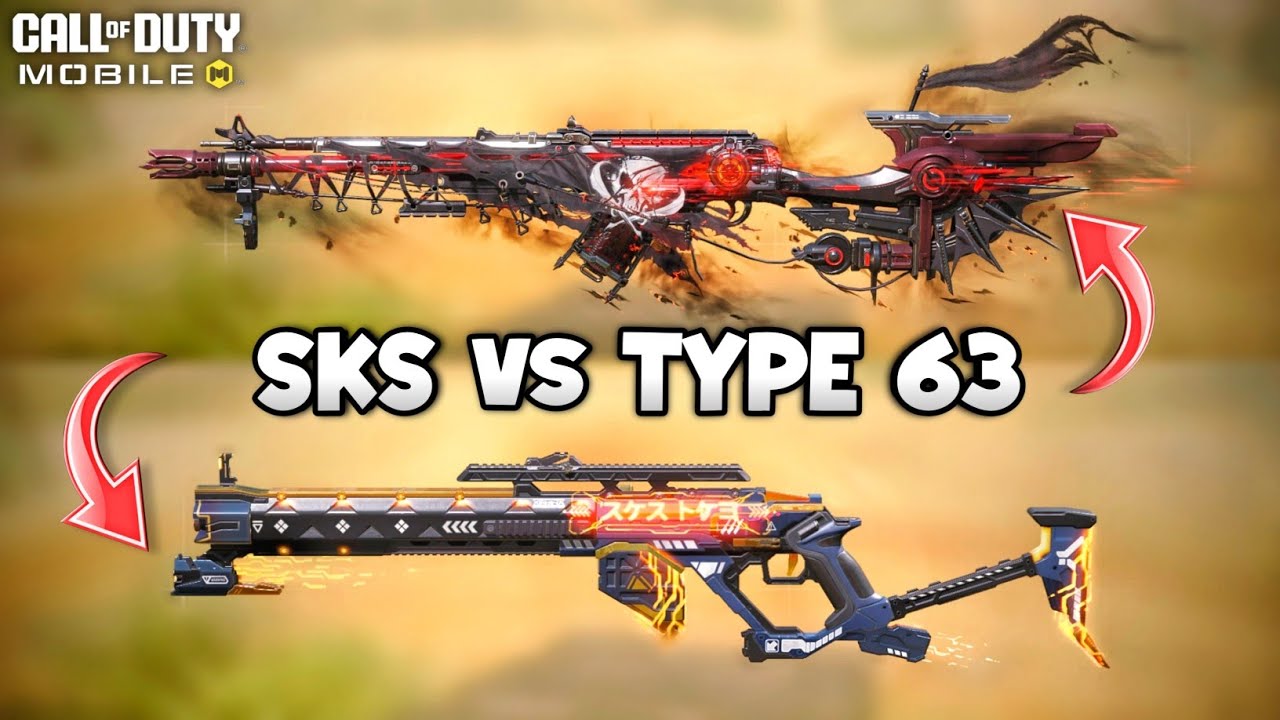 SKS vs TYPE 63 which one is your go-to Marksman rifle?