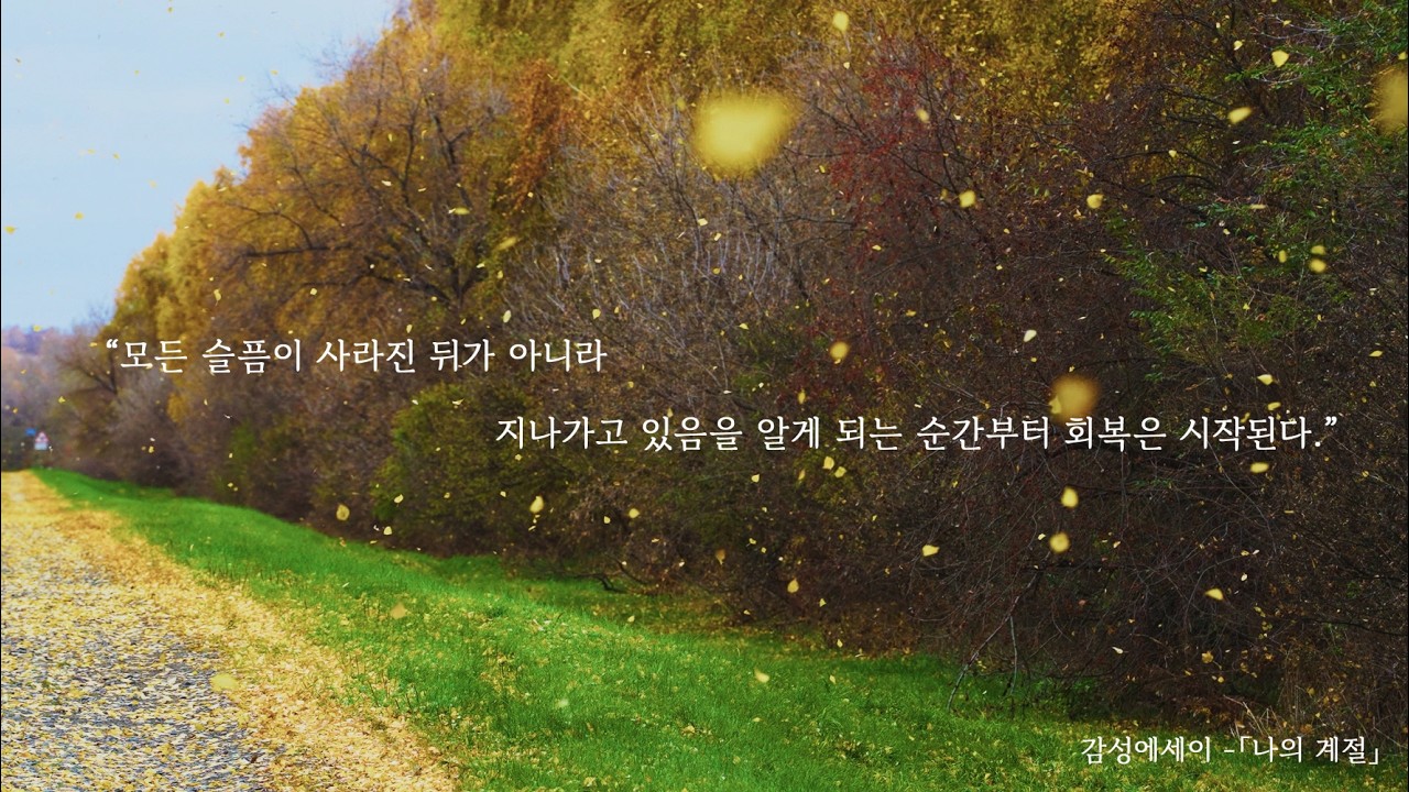 나의 계절 l My Season
