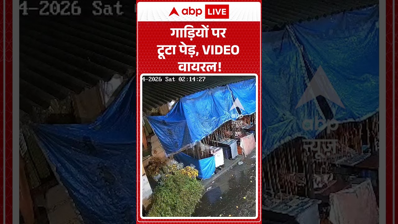 Viral News : गाड़ियों पर टूटा पेड़, VIDEO वायरल! | #viral #monsoon #weather #rain #flood