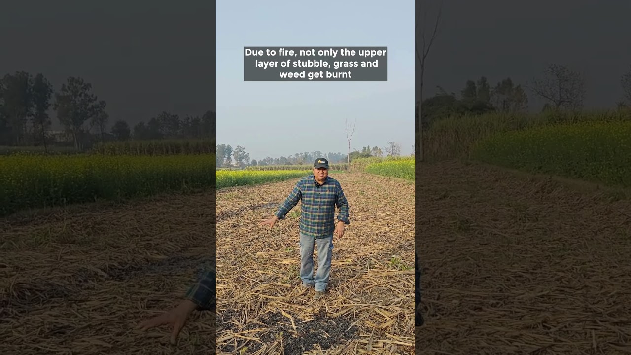 Avoid Burning Stubble to Preserve Soil Health