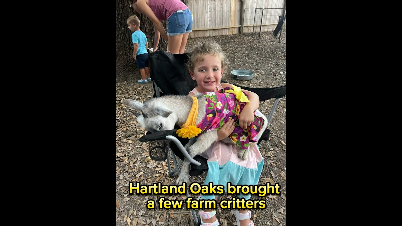 Hartland Oaks brought a few cute and cuddly farm animals to No Label Brewery in Katy, Texas.