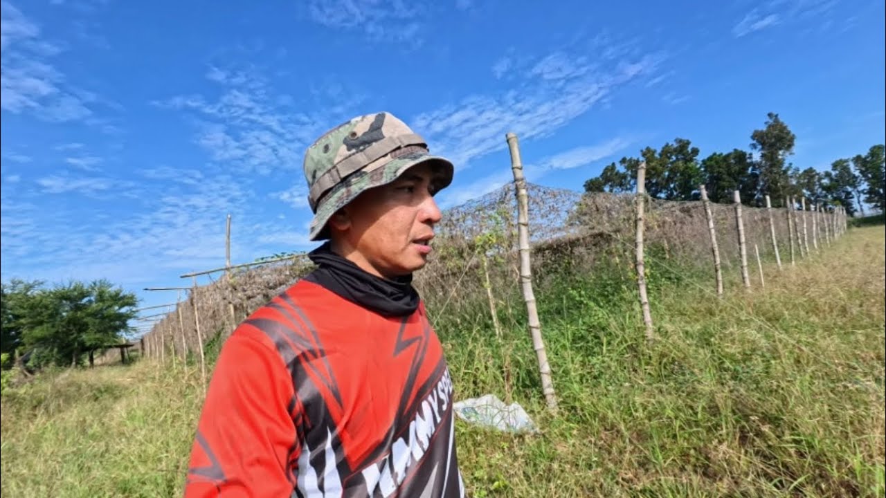 SAYANG ANG DREAM FARM