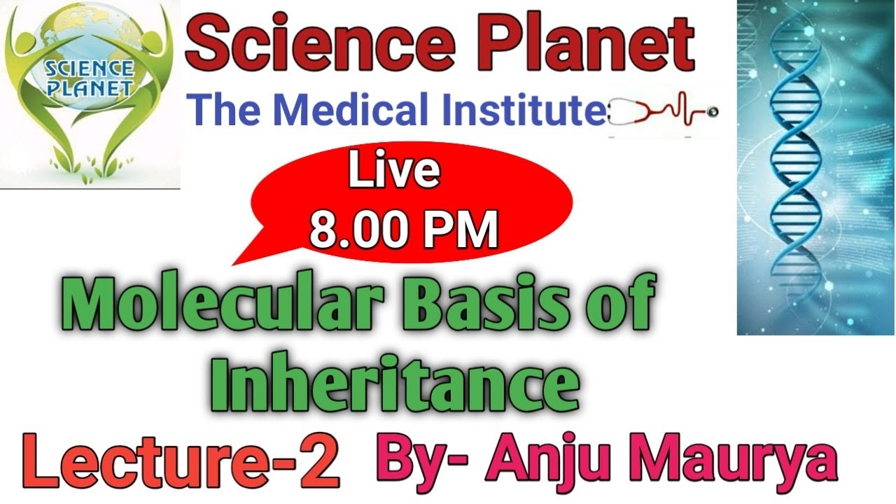 Molecular basis Of Inheritance || Lecture- 2|| By- Anju Maurya ||