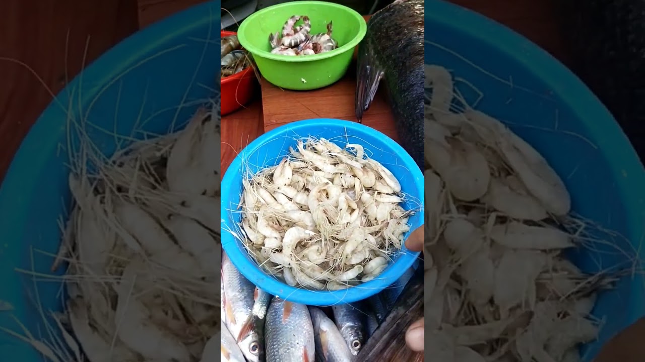 Fish Market at Chhabehil |Ganesh Than 😎😋 KTM  Nepal #shorts #t2valleygorkha