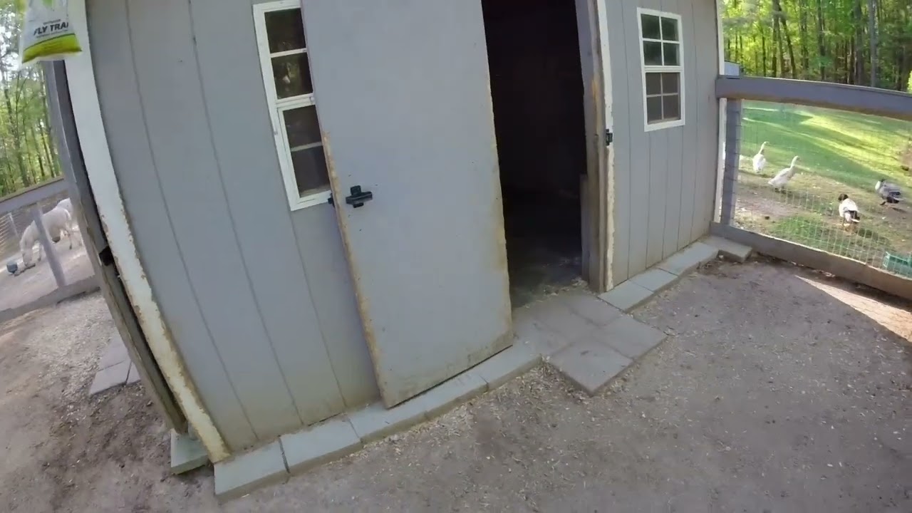 Mini donkey barn. 