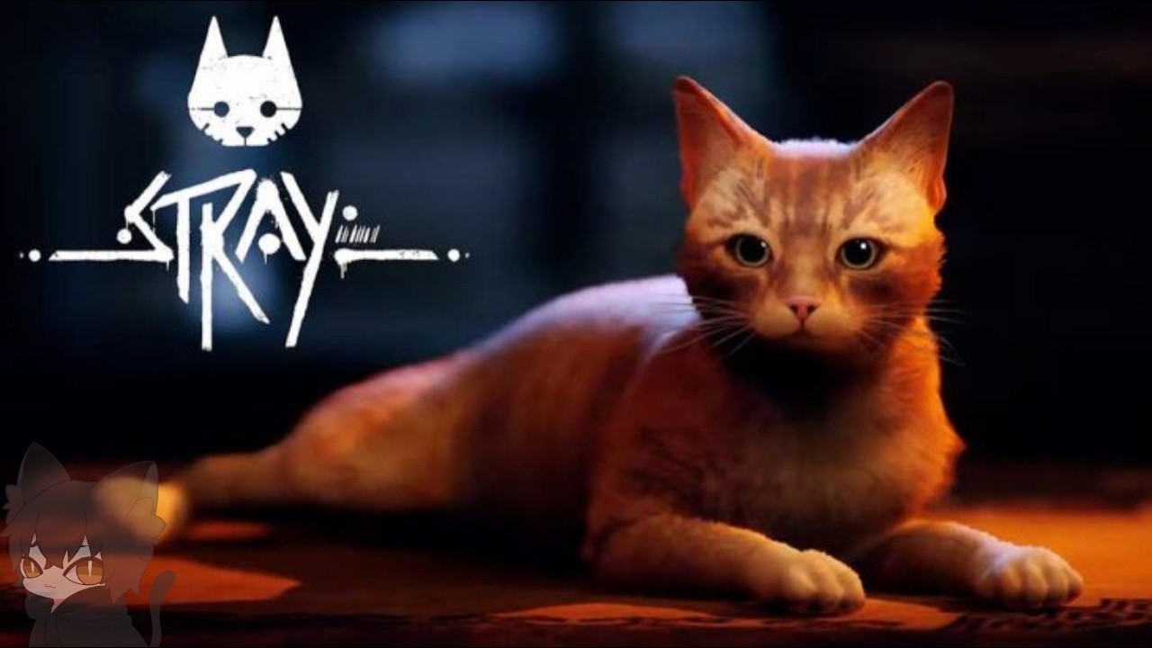 Stray#2