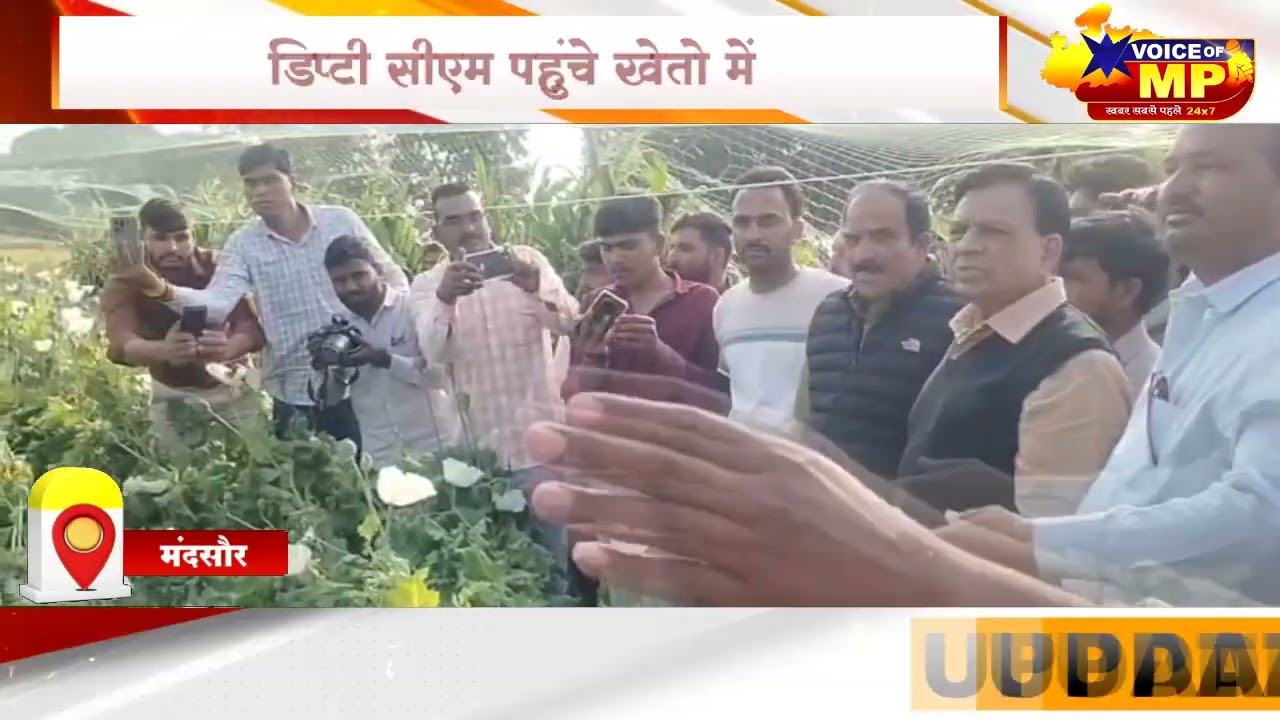 डिप्टी सीएम देवड़ा पहुंचे खेतो में, फसल नुकसानी का लिया जायजा, किसानों से कहा- सरकार आपके साथ