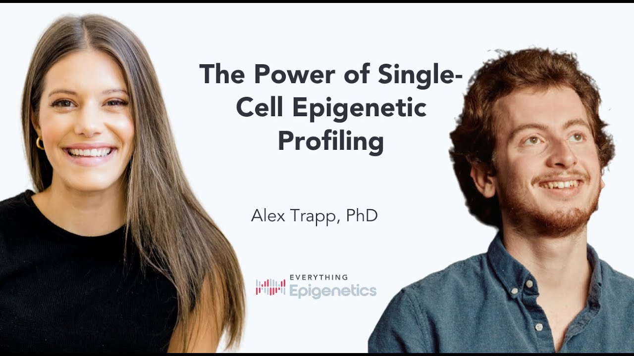 The Power of Single-Cell Epigenetic Profiling
