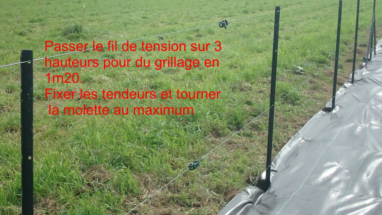 Finition pose grillage clôture , Famille JELA Autoconstruction autonome