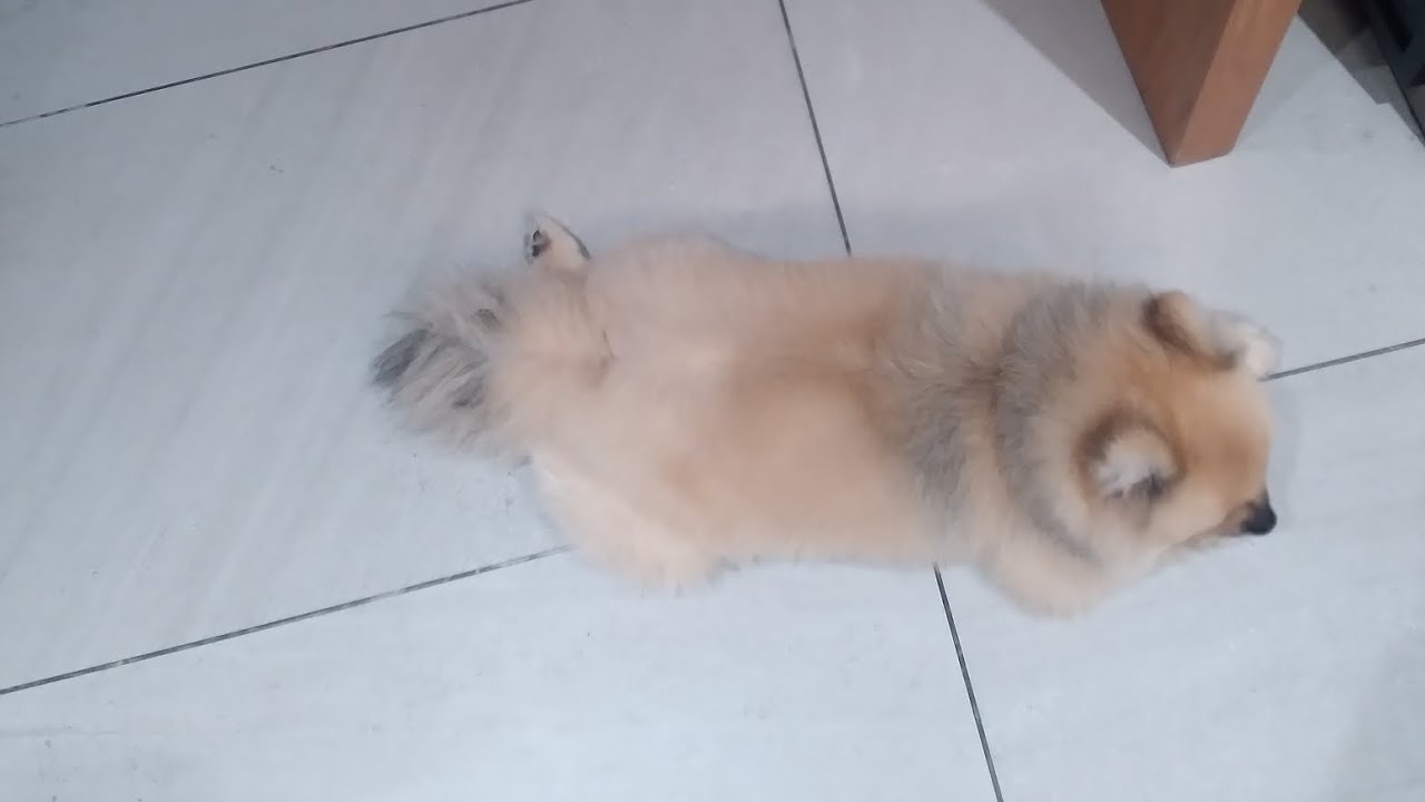GANYAN SIYA PAG UMALIS ANG ATE NG BAHAY