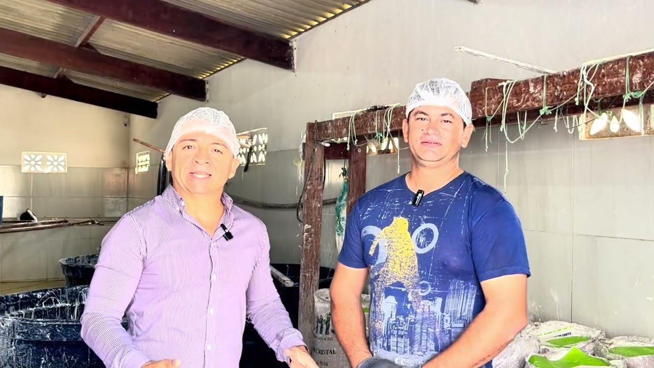 Jornada da mandioca em Vera Cruz/RN
