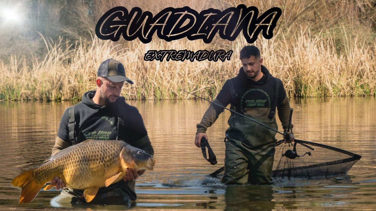 El Puro Carpfishing