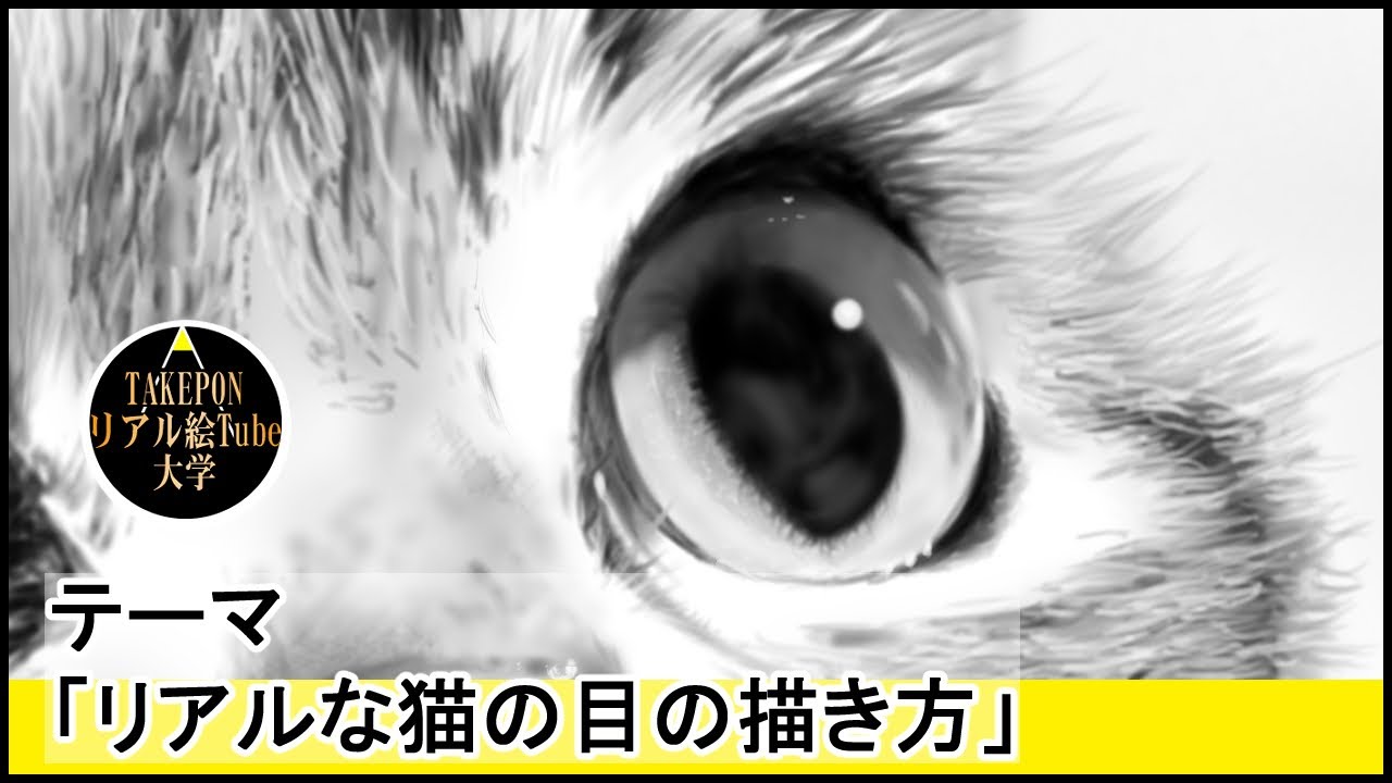 リアルな猫の目の描き方【絵の描き方】
