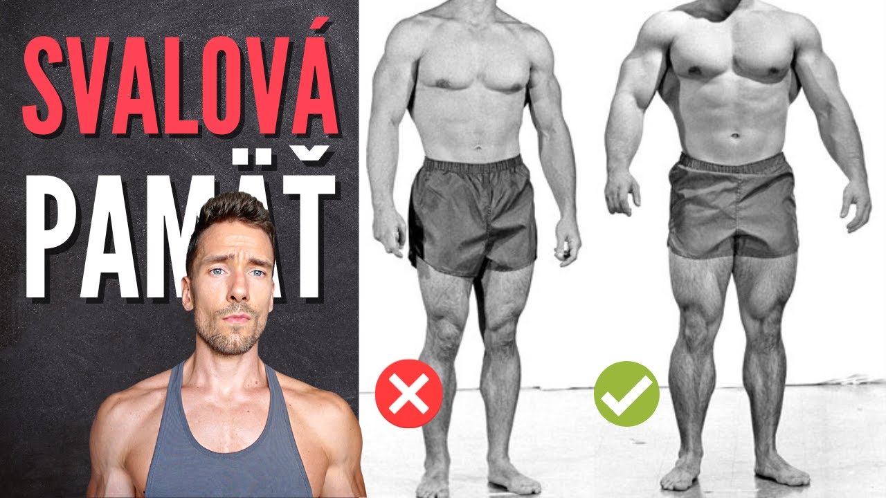 Svalov&aacute; pam&auml;ť - v&scaron;etko čo potrebuje&scaron; vedieť | FITKOUČING