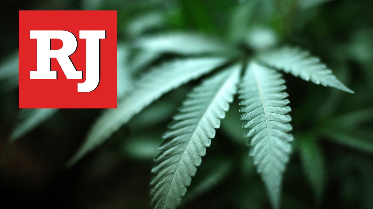 Marijuana Health Investigation