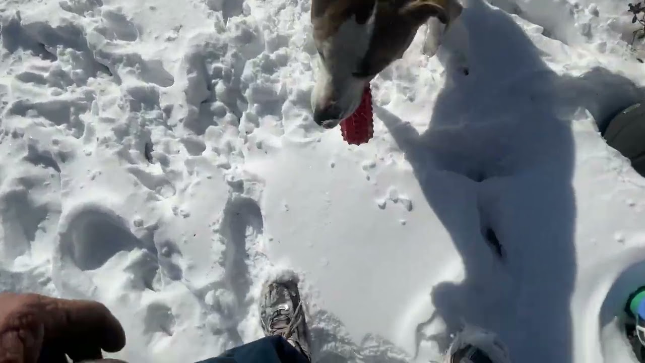 Наша буря в доме дедушки, где мы занимались скрапбукингом.